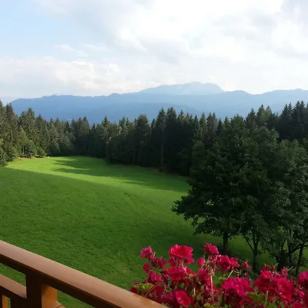 Barzaunerhof مزرعة للإقامة